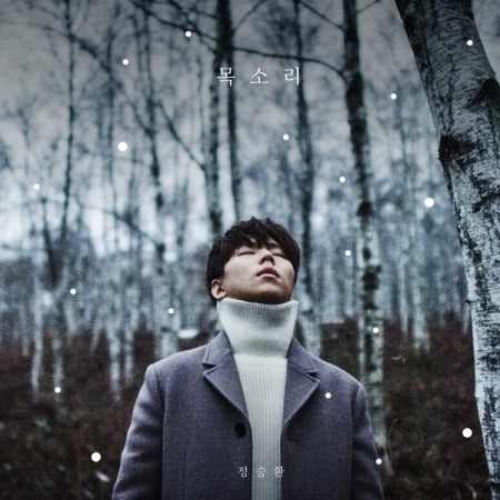 정승환 - 목소리 (JEONG SEUNG HWAN - VOICE)