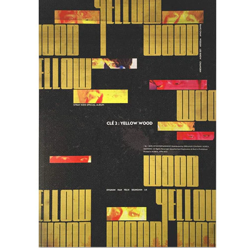 STRAY KIDS 1ST SPECIAL ALBUM [ CLE 2: YELLOW WOOD ] STANDARD VERSION - Image 3