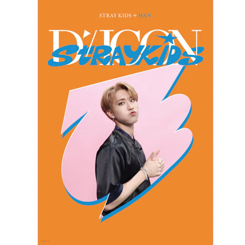디아이콘 | D-ICON [ D'FESTA STRAY KIDS ] MINI EDITION - Image 5