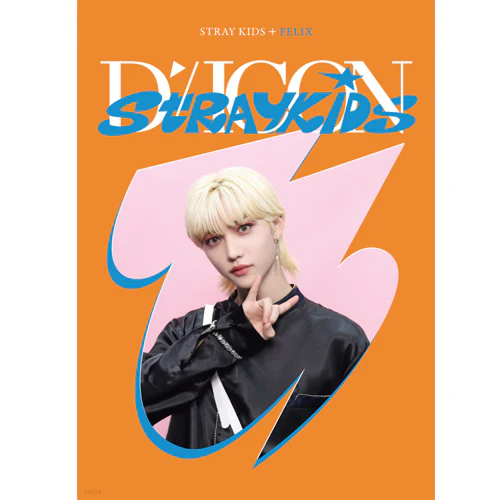 디아이콘 | D-ICON [ D'FESTA STRAY KIDS ] MINI EDITION - Image 6