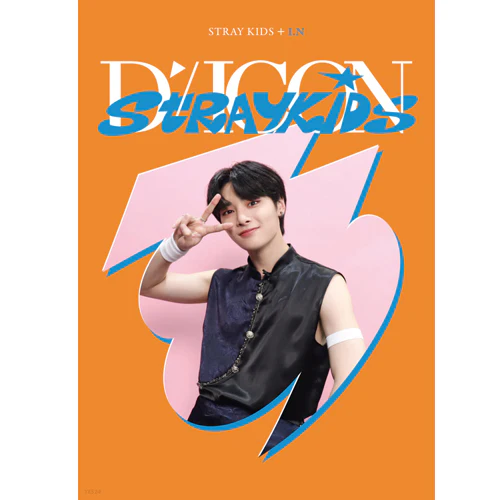디아이콘 | D-ICON [ D'FESTA STRAY KIDS ] MINI EDITION - Image 8
