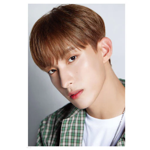 D-ICON DISPATCH 10TH ANNIVERSARY [ D'FESTA SEVENTEEN ] - Image 10