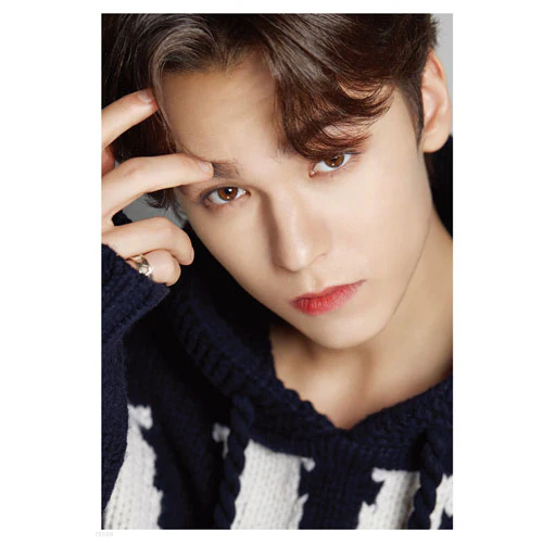 D-ICON DISPATCH 10TH ANNIVERSARY [ D'FESTA SEVENTEEN ] - Image 12