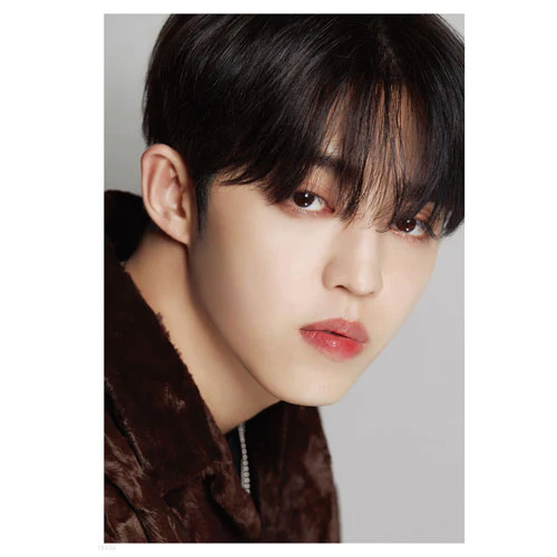 D-ICON DISPATCH 10TH ANNIVERSARY [ D'FESTA SEVENTEEN ] - Image 2