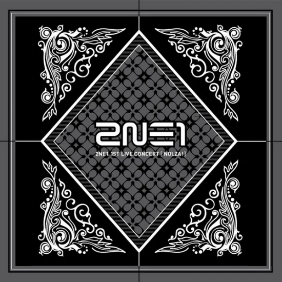 투애니원 | 2NE1 1ST CONCERT [ 2011 NOLZA! ] DVD