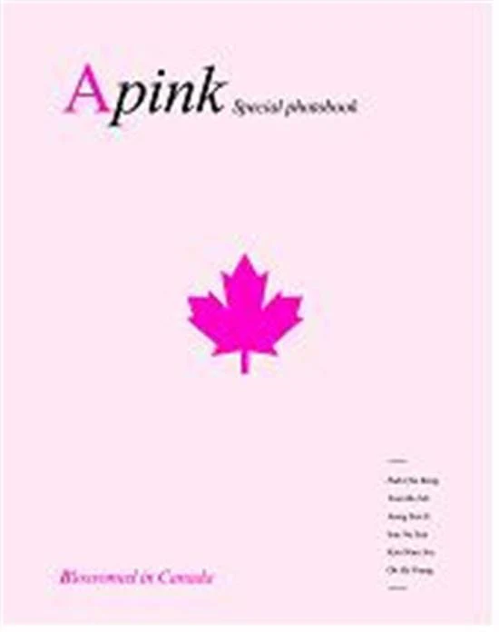 에이핑크 | APINK 1ST PHOTOBOOK [ SPECIAL PHOTO BOOK ]
