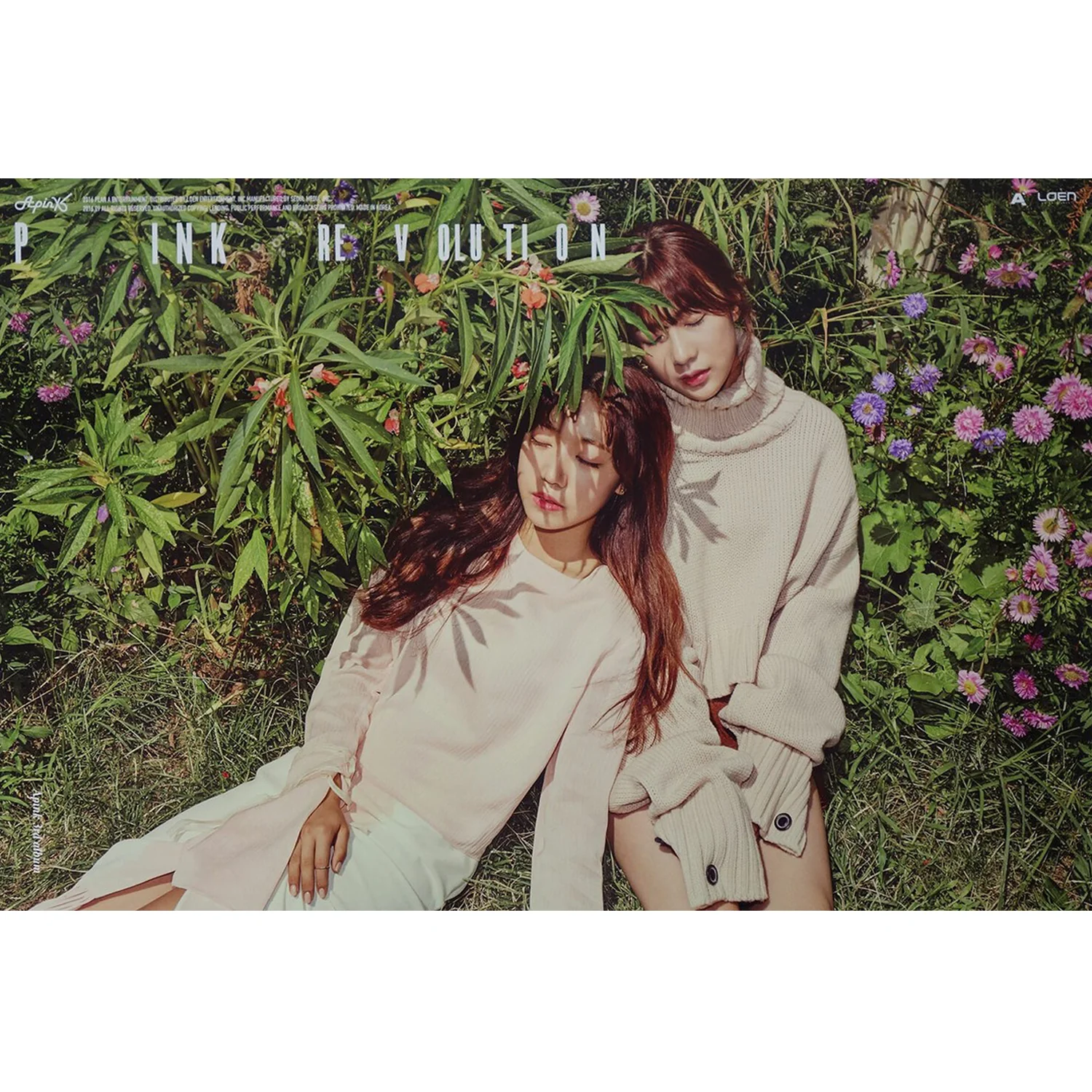 에이핑크 | APINK | 3RD ALBUM [ PINK REVOLUTION ] | POSTER ONLY - Image 2