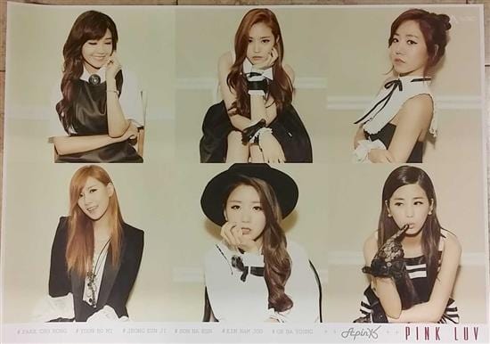 에이핑크 | APINK | 5TH MINI ALBUM [ PINK LUV ] | (B VER.) POSTER ONLY