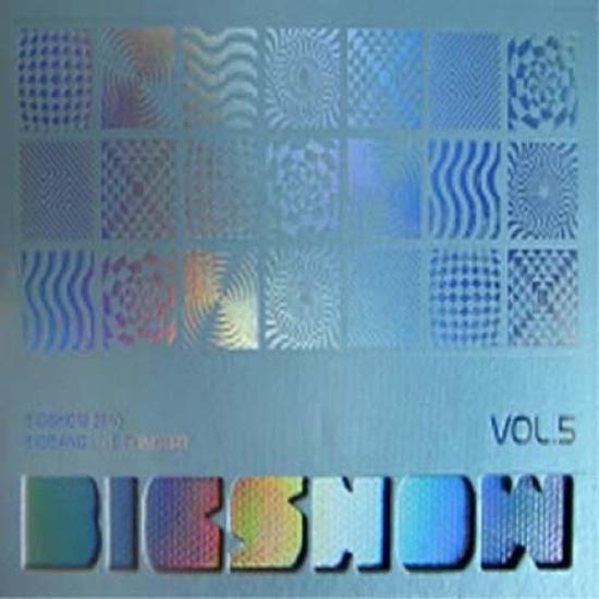 빅뱅 | BIGBANG VOL.5 [ BIGSHOW 2010 - LIVE CONCERT CD ]