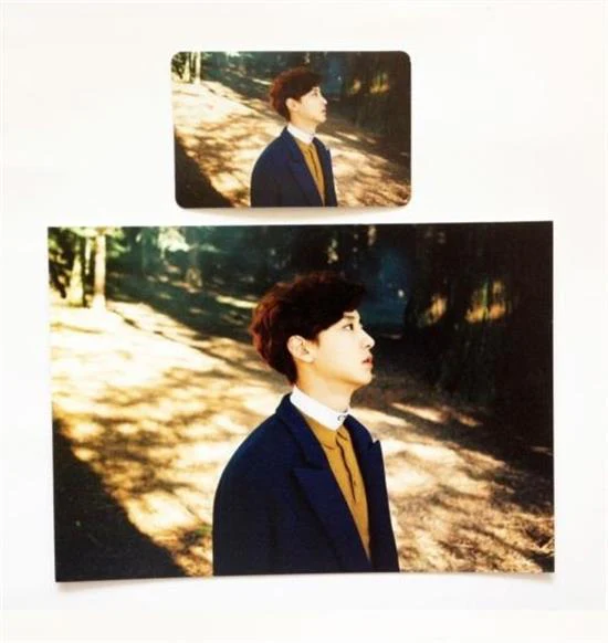 엑소 | EXO [ EXODUS ] PHOTOCARD + POSTCARD SET (CHANYEOL)