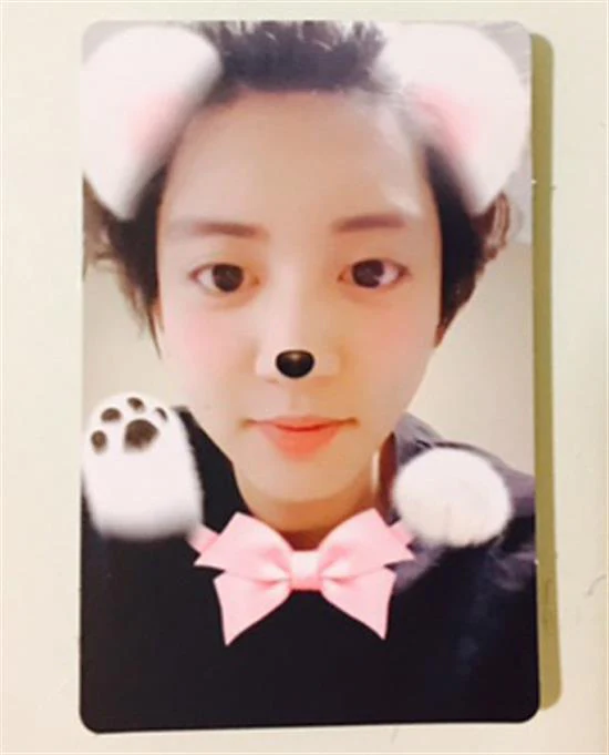 찬열 | CHANYEOL-EXO DEBUT 5TH LIMITED EDITION-PHOTO CARD
