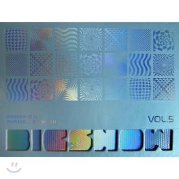 빅뱅 | BIGBANG 2010 LIVE CONCERT ALBUM [ BIG SHOW ]