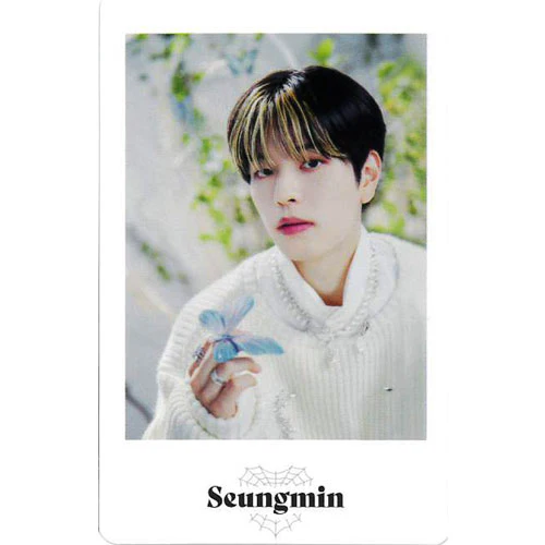 STRAY KIDS 2ND WORLD TOUR "MANIAC ENCORE" in JAPAN / PHOTO CARD SET - Image 12
