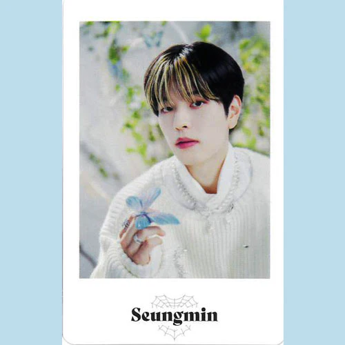 STRAY KIDS 2ND WORLD TOUR "MANIAC ENCORE" in JAPAN / PHOTO CARD SET - Image 13
