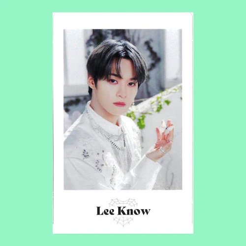 STRAY KIDS 2ND WORLD TOUR "MANIAC ENCORE" in JAPAN / PHOTO CARD SET - Image 16