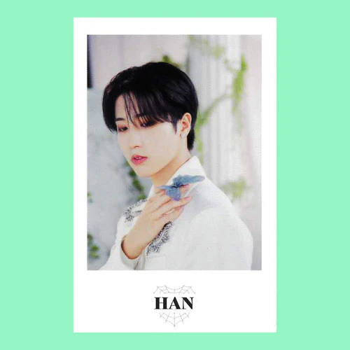 STRAY KIDS 2ND WORLD TOUR "MANIAC ENCORE" in JAPAN / PHOTO CARD SET - Image 19