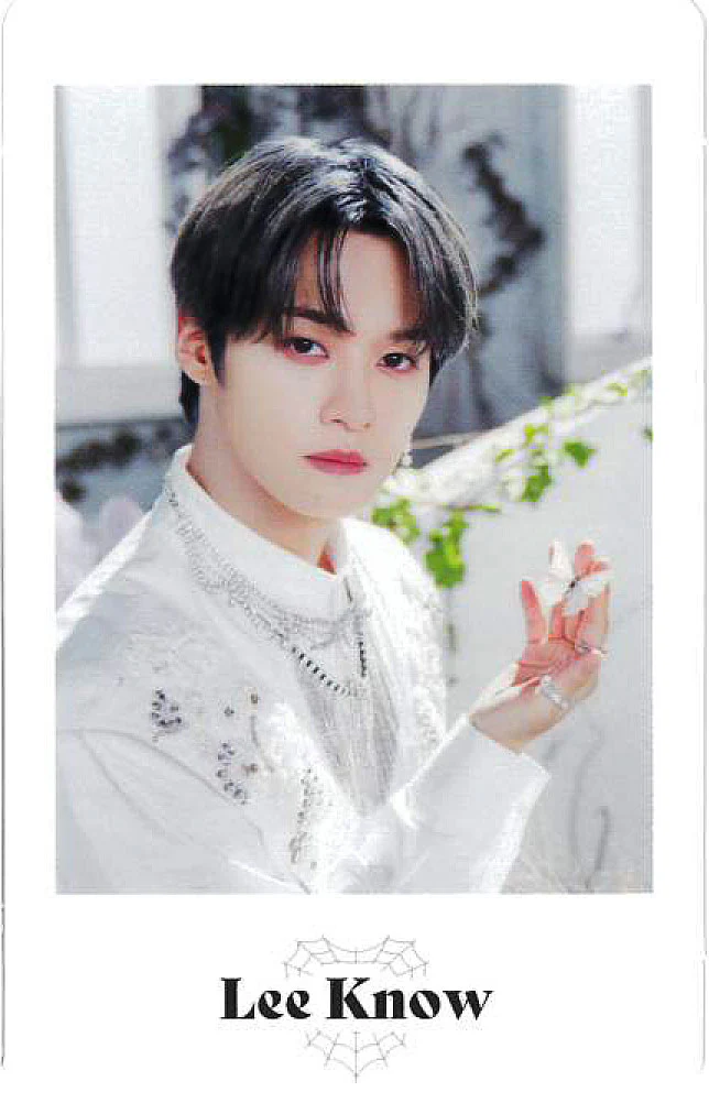 STRAY KIDS 2ND WORLD TOUR "MANIAC ENCORE" in JAPAN / PHOTO CARD SET - Image 3