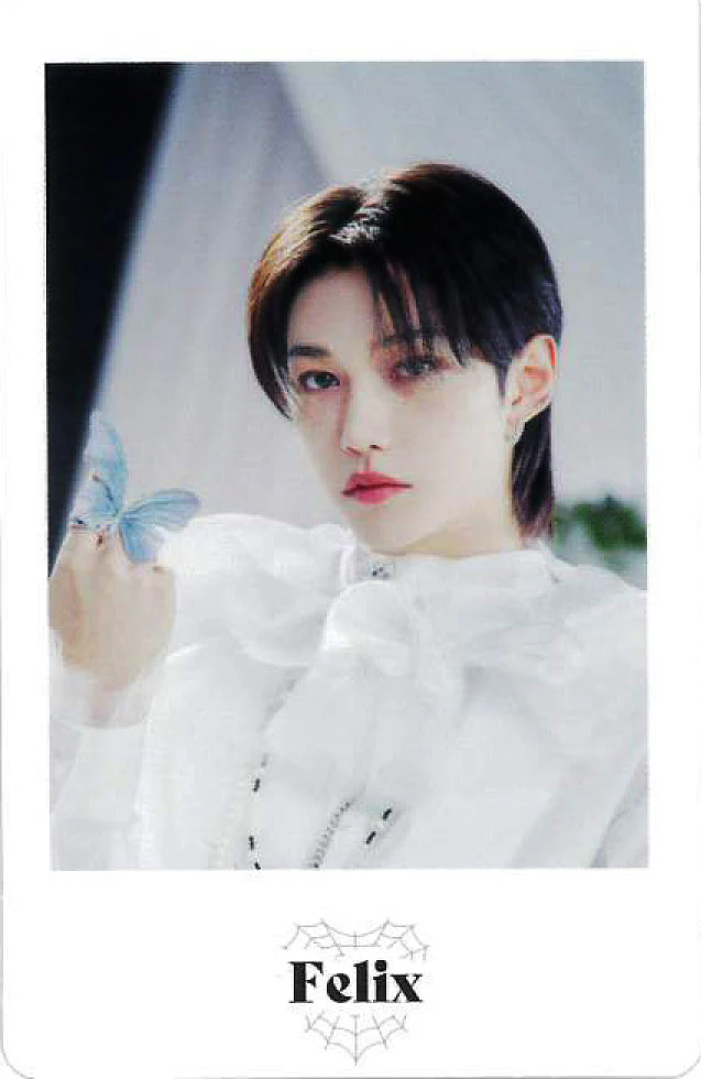 STRAY KIDS 2ND WORLD TOUR "MANIAC ENCORE" in JAPAN / PHOTO CARD SET - Image 7