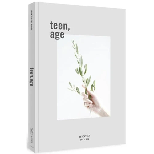 SEVENTEEN 2ND ALBUM [ TEEN, AGE ] - Image 2