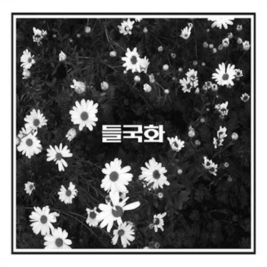 들국화 | DEULGOOKHWA 들국화 BEST