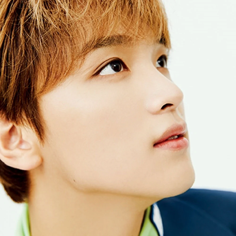 엔씨티 드림 | NCT DREAM JAPANESE ALBUM [ THE DREAM ]