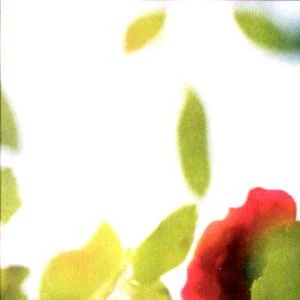 소규모아카시아밴드 (Sogyumo Acacia Band) | 일곱날들