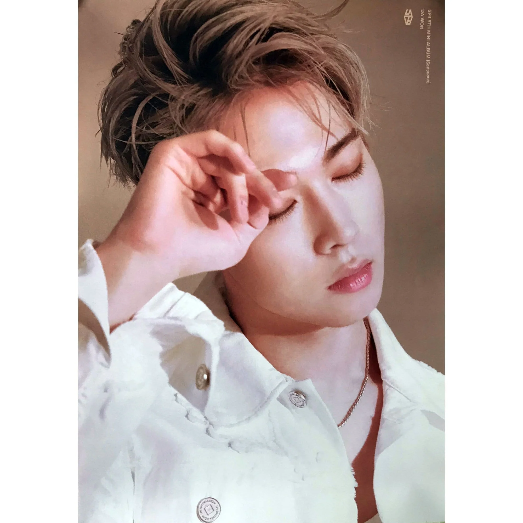 에스에프나인 | SF9 | 5TH MINI ALBUM [ SENSUOUS ] | (DAWON VER.) POSTER ONLY