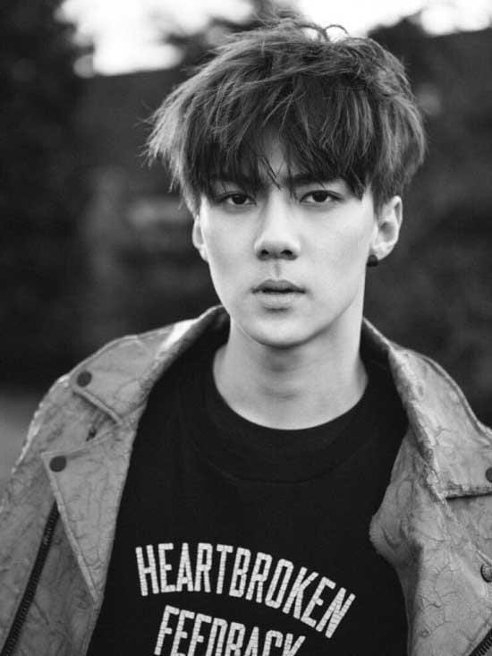 엑소 | EXO | 2ND MINI ALBUM [ EXODUS ] | (SEHUN VER.) POSTER ONLY