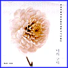 유재하 Yu, Jaeha | 유재하 음악 경연대회 10주년 기념음반-무지개