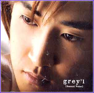 그레이 Grey | 1집