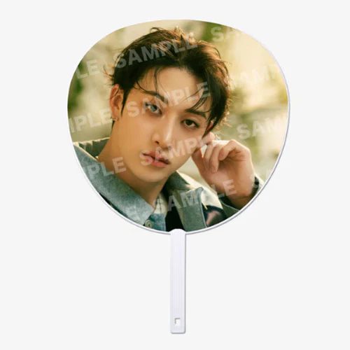 STRAY KIDS [ HOLLOW ] IMAGE PICKET