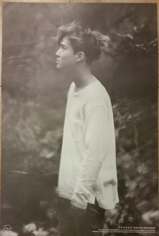 엑소 | EXO | 2ND MINI ALBUM [ EXODUS ] | (SUHO VER.) POSTER ONLY